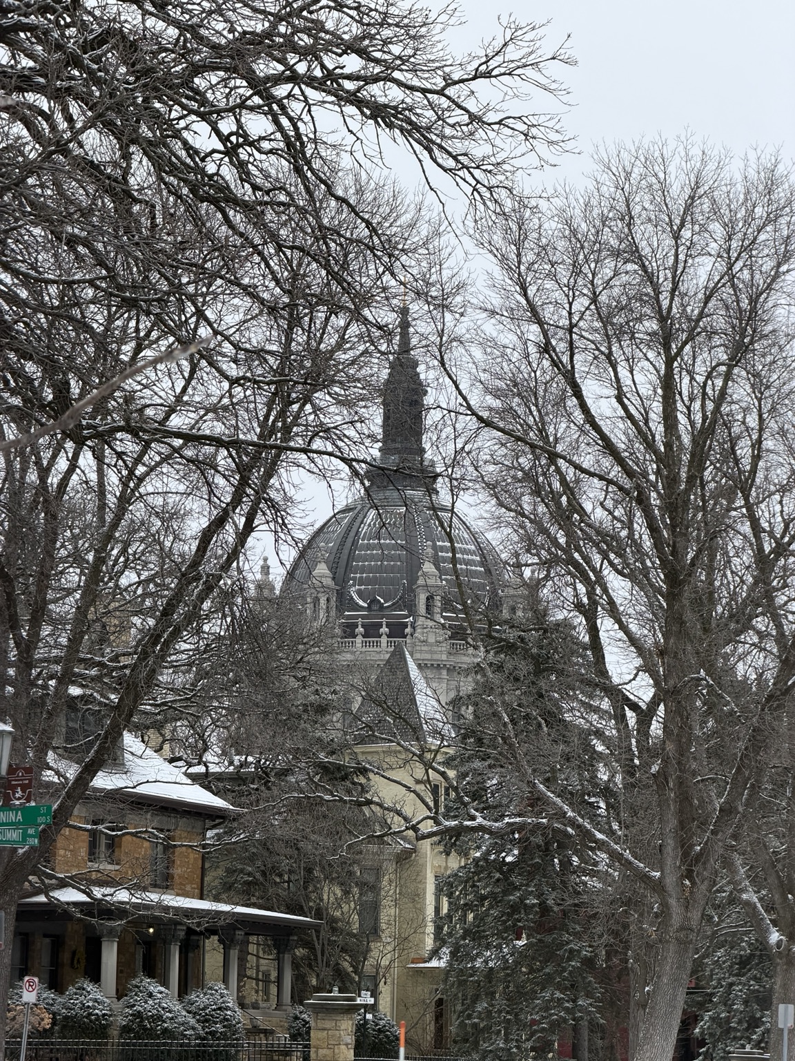 A historic Saint Paul dome seen through winter trees